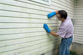 Best Siding Painting and Refinishing  in Anderson Creek, NC